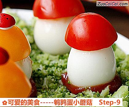 -鹌鹑蛋小蘑菇做法第九步骤