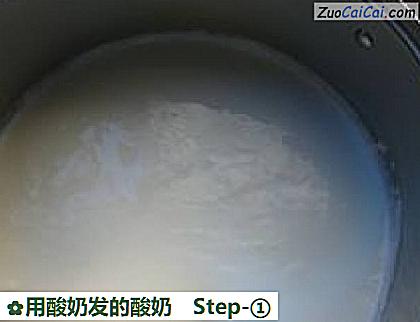 用酸奶发的酸奶做法第一步骤