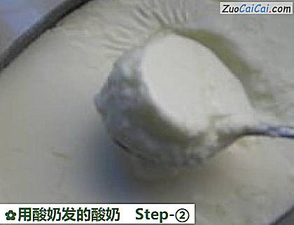 用酸奶发的酸奶做法第二步骤