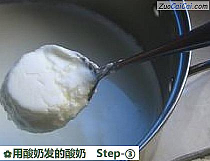 用酸奶发的酸奶做法第三步骤