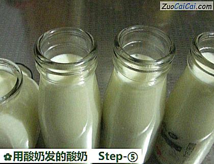 用酸奶发的酸奶做法第五步骤