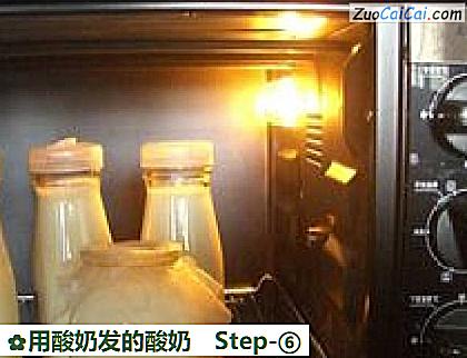 用酸奶发的酸奶做法第六步骤