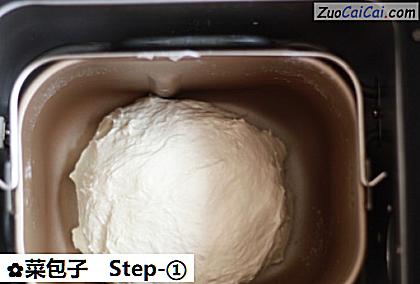 菜包子做法第一步骤