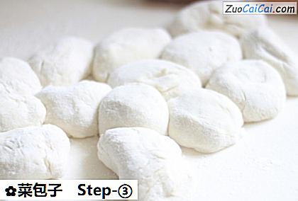 菜包子做法第三步骤