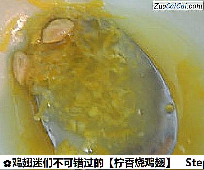 鸡翅迷们不可错过的做法第五步骤