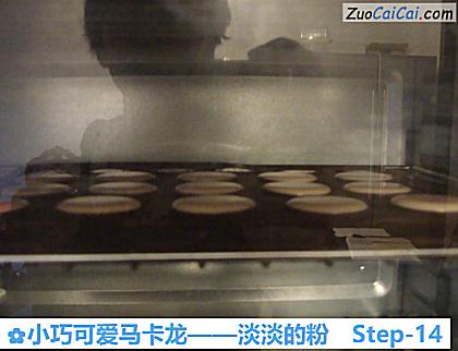 小巧可爱马卡龙——淡淡的粉做法第十四步骤