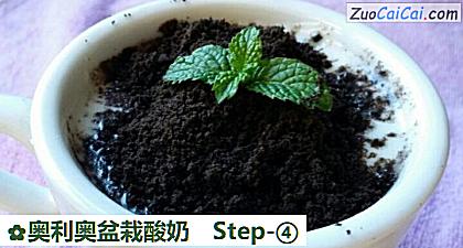 奥利奥盆栽酸奶做法第四步骤