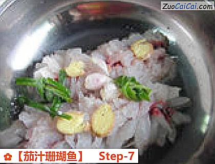 ［茄汁珊瑚鱼］做法第七步骤