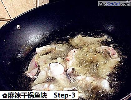 麻辣干锅鱼块做法第三步骤