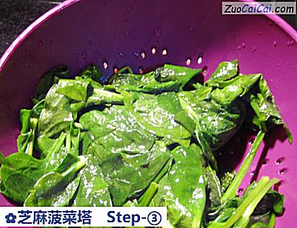 芝麻菠菜塔做法第三步骤