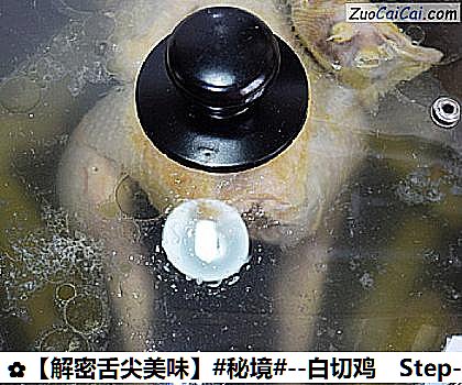 白切鸡做法第三步骤