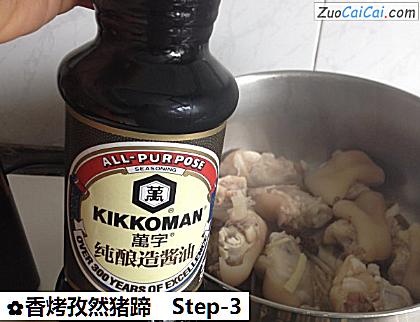 香烤孜然猪蹄做法第三步骤