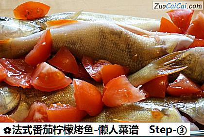 法式番茄柠檬烤鱼-懒人菜谱做法第三步骤