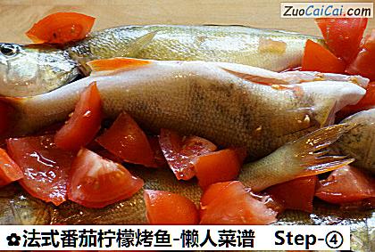 法式番茄柠檬烤鱼-懒人菜谱做法第四步骤