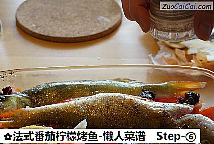 法式番茄柠檬烤鱼-懒人菜谱做法第六步骤