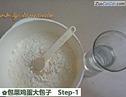包菜鸡蛋大包子做法第一步骤