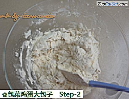 包菜鸡蛋大包子做法第二步骤