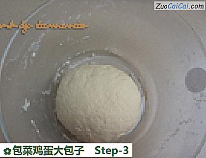 包菜鸡蛋大包子做法第三步骤