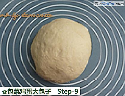 包菜鸡蛋大包子做法第九步骤