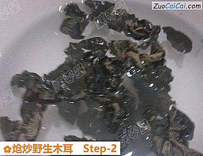 炝炒野生木耳做法第二步骤