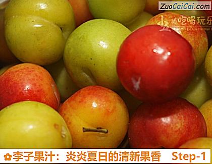 李子果汁:炎炎夏日的清新果香做法第一步骤