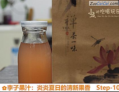 李子果汁:炎炎夏日的清新果香做法第十步骤