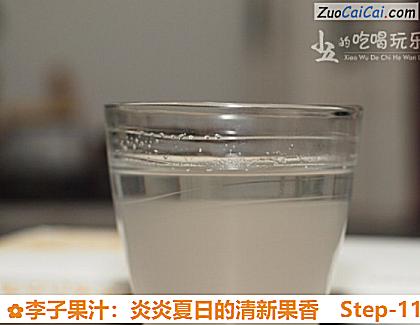 李子果汁:炎炎夏日的清新果香做法第十一步骤