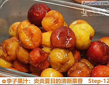 李子果汁:炎炎夏日的清新果香做法第十二步骤