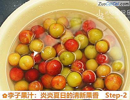 李子果汁:炎炎夏日的清新果香做法第二步骤
