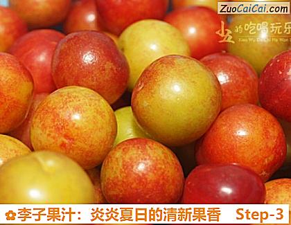 李子果汁:炎炎夏日的清新果香做法第三步骤