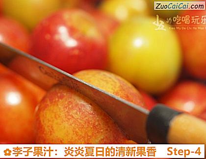 李子果汁:炎炎夏日的清新果香做法第四步骤