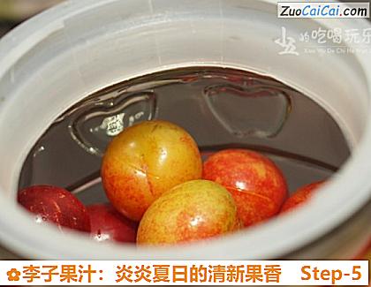李子果汁:炎炎夏日的清新果香做法第五步骤