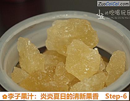 李子果汁:炎炎夏日的清新果香做法第六步骤