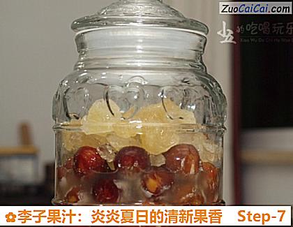 李子果汁:炎炎夏日的清新果香做法第七步骤