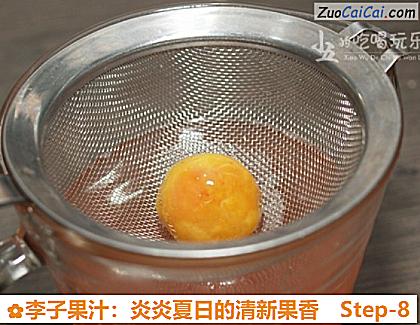 李子果汁:炎炎夏日的清新果香做法第八步骤