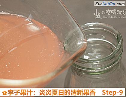 李子果汁:炎炎夏日的清新果香做法第九步骤