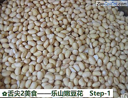 乐山嫩豆花做法第一步骤