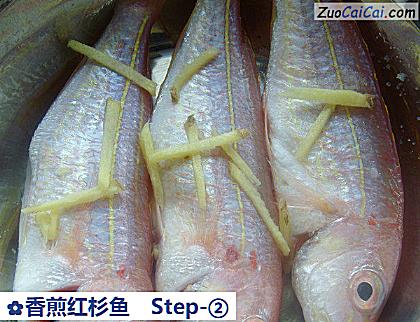 香煎红杉鱼做法第二步骤