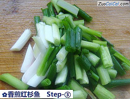 香煎红杉鱼做法第三步骤