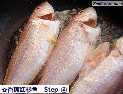 香煎红杉鱼做法第四步骤