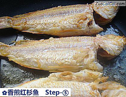 香煎红杉鱼做法第五步骤