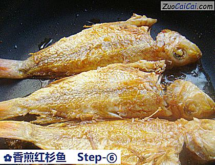 香煎红杉鱼做法第六步骤