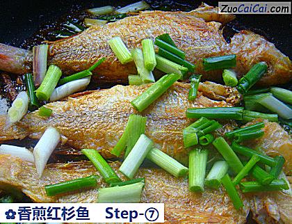 香煎红杉鱼成品图1