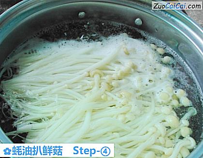 蚝油扒鲜菇做法第四步骤