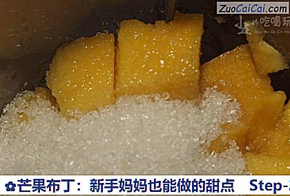 芒果布丁:新手妈妈也能做的甜点做法第二步骤