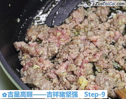 吉星高照——吉祥猪坚强做法第九步骤