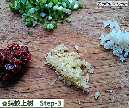 蚂蚁上树做法第三步骤