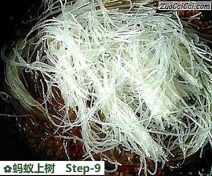 蚂蚁上树做法第九步骤