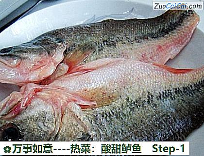 热菜:酸甜鲈鱼做法第一步骤