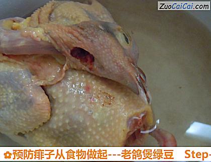 -老鸽煲绿豆做法第三步骤